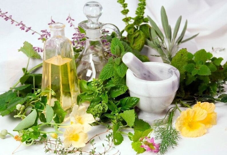A variety of medicinal herbs for compresses for varicose veins